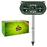 Ultraschall Katzenschreck Hundeschreck Garten Solar Tiervertreiber Marderschreck RUIOMII 5 Modi Wasserdichter Katzenvertreiber mit Bewegungsmelder LED B