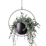 Atlnso Hängender Blumentopf Metall Hängend Blumenampel Schwarz für Anbringung an Wand und Decke Chlorophytum Grüner, Sukkulenten, Kunstpflanzen R