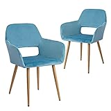 ZAYKWQIC 2er Set Esszimmerstühle Vintager Retro Sessel Polstersessel Samt Lounge Sessel Clubsessel Fernsehsessel(Blauer See)