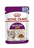 Royal Canin Sensory Taste Nassfutter in Gelee für wählerische Katzen 12 x 85 g