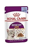 Royal Canin Sensory Taste Nassfutter in Gelee für wählerische Katzen 12 x 85 g