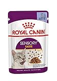 Royal Canin Sensory Taste Nassfutter in Gelee für wählerische Katzen 12 x 85 g