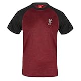 Liverpool FC - Herren Trainingstrikot aus Polyester - offizielles Merchandise - Geschenk für Fußballfans - Rot meliert - S