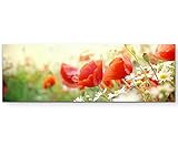Paul Sinus Art Leinwandbilder | Bilder Leinwand 120x40cm Mohnblumen im S