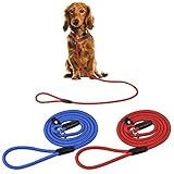 KYSUN 2 Stücke Hunde Leine, Nylon Hundeleine, Hundeleine Tau, Leichte Geflochtene Hundeleine, Hunde Trainingsleine, Verstellbare Retrieverleine für Mittlere und Große Hunde, Blau und R