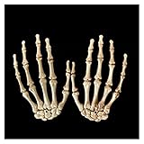 HGLNBN 1pair Halloween gruselige Requisiten Kunststoff Skeleton Hände Realistische Lebensgröße Kunststoff Gefälschte menschliche Handknochen for Geisterhaus Dekor (Size : 15.5X10cm)