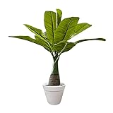 iophi Zimmerpflanze /deko Kunstpflanzen Bananen Baum/künstliche Pflanzen/Dekopflanze Grünpflanze Büropflanze groß grü