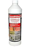 CleanPrince 1 Liter Grünbelagentferner Konzentrat | Hochkonzentrat ohne Chlor Grünbelag Ex Anti entfernen Entferner Moos Algen Grünspan Holz Glas Beton Stein Natursteine Marmor Platten Fassaden Gehwege Hof Terrasse Reiniger Reinigungsmittel Flechten Ablagerungen Ausblühungen Algenentferner Hochkonzentrat selbsttätig