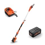 FUXTEC 40V 8Zoll Akku Hochentaster E608D Set inkl. 2Ah EP20 Akku mit Ladegerät EC20