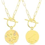 12 Konstellation Sternbild Münze Geprägte Halsband Halskette Konstellation Stern Anhänger Kette Astrologie Horoskop Zeichen Kette Büro Klammer Kette (Steinbock (22. Dez. - 19. Jan.))