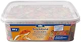 Söll TEICH-GOLD Futter-Flocken Hauptfutter - Ganzjahresfutter zum Füttern von Teichfischen im Gartenteich für gesunde Ernährung und Fischpflege, lange Schwimmfähigk
