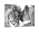 bestforhome - Leinwandbild Schönes bezauberndes kuschelndes Löwenpaar (Löwen) in Afrika in der Savanne! schwarz/weiß auf Leinwand, riesige Bilder fertig gerahmt mit Holzrahmen (120 x 80 cm)