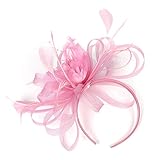 Dorical Fascinator Retro Schreier Hut Kopfschmuck 1920er Damen Mädchen Braut Klassisch Haarschmuck Vintage Mode Schleier für Weihnachten Halloween Braut Tea Party Kostüm Karneval Fasching(Rosa)
