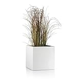 Pflanzkübel CUBO Fiberglas Blumenkübel - Farbe: weiß matt - robuster, UV-beständiger, wetterfester & frostsicherer Blumentopf für den Garten - TÜV-geprüfte Q