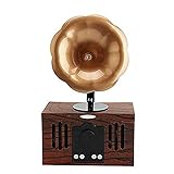 CHYSP Lautsprecher Retro Grammophon Bluetooth Lautsprecher Wireless FM Radio Sound Music Center System Stereo Bass Lautsprecher for Z