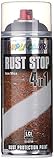 DUPLI-COLOR 223617 RUST STOP Eisenglimmer DB 703 anthrazit 400 ml, transparent, (1er Pack)
