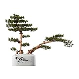 hanxiaoyishop Bonsai Künstliche Bonsai Welcome Kiefer Weiß Keramik Blumentopf Gefälschte Pflanze Exquisite Wurzel Schnitzerei Silikon Nadel Blatt Wohnzimmer Dekoration Bonsai B