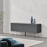 [en.casa] Sideboard Bollebygd mit 2 Schranktüren 46,5x110x30cm Kommode Wandschrank Wohnzimmerschrank Metallgestell Dunkelg