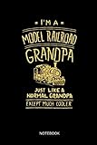 I'm A Model Railroad Grandpa Just Like A Normal Grandpa Except Much Cooler - Notebook: Lined Train & Railroad Notebook / Journal. Funny Railway ... for Model Train & Steam Locomotive L