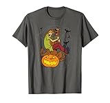 Scooby-Doo and Shaggy Spooky Surprise T-S