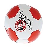 1. FC Köln Knautschb