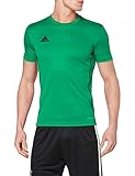 adidas Herren Trikot Core 18, Bold Green/Black, L, CV3454