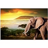 zhengchen Druck auf Leinwand Moderne Tiere Landschaft Poster und Drucke Wandkunst Leinwand Malerei Afrikanischer Elefant Bilder für Wohnzimmer Dekor 40x60cm/15,7' x23,6 g