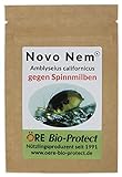 Novo Nem® Ambly. Calif. 1000 Raubmilben - Streuware für 10-20 Pflanzen gegen Spinnmilben an Zierpflanzen, Gemüse und Nutzp