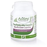 AniForte Teufelskralle Gelenk Kapseln für Hunde 100 Stück - Gelenktabletten als praktische Kapsel, 100% Naturprodukt Gelenke Pulver, Hohe Akzeptanz beim H