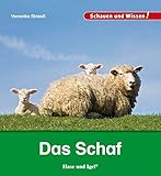 Das Schaf: Schauen und Wissen!