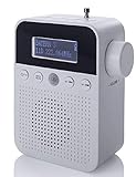 NEWTRO DAB STECKDOSENRADIO MIT BEWEGUNGSMELDER INKL. AKKU, portabler Radio, ideales Badradio mit automatischer EIN- und Abschaltung, Weckfunktion, USB-Ladebuchse, DAB+ Dig