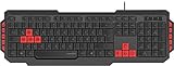 SPEEDLINK LUDICIUM Gaming Keyboard - USB-Gaming-Tastatur mit 10 Multimediatasten, schw