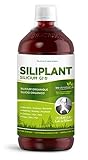 G7 Siliplant Verbesserte Formel. Silizium Flüssig auf Pflanzenbasis. Silizium Hochdosiert ideale für Knochen, Gelenke Vitamine, Haarvitamine und Nägeln. Erhöht die Elastizität der Haut. 33 Tag