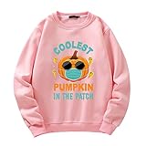 Pullover Herren Herbst Winter Universität Jugend Longsleeve Männer Sweatshirt Urban Trend Mode Lose Rundhals Kürbis Druck Halloween Party All-Match Paar Outfit J-Pink L