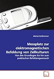 Messplatz zur elektromagnetischen Befeldung von Zellkulturen: Von den Grundlagen bis hin zum praktischen Befeldung