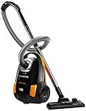 ROWENTA ro2614ea Aspirateur traineau noir/orange city sp