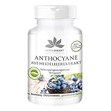 Anthocyane aus Heidelbeerextrakt 25% - 90 Kapseln - veg