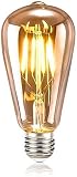 MeYuxg Edison-Glühbirne im Retro-Stil, E27-Gewinde, 6 W, 220–240 V, 2700 K, altes Leuchtmittel, LED-Glühfaden, warmweißes Licht, für nostalgische und Retro-Atmosphäre (1 Stück)