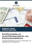 Kreditvergabe an Investitionsprojekte von Kleinunternehmern: Theoretische Aspekte, Forschung zur Organisation und Möglichkeiten zur Verbesserung