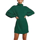 Herbst Und Winter Casual Fashion Damen High-Neck Solid Color Langarm Pullover Kleid Lose Hedging Warme Pullover Rock F