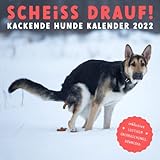 SCHEISS DRAUF! Kackende Hunde Kalender 2022: Das lustige Geschenk für Männer, Frauen, Freunde und Hundeliebhaber zum Geburtstag oder Weihnachten - inkl. witzigem B