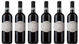 6x Auryga Aglianico IGP Ca'S