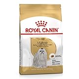 Royal Canin Hunde-Trockenfutter Adult Maltese für ausgewachsene Malteser, 24 % Proteingehalt, 1,5 kg