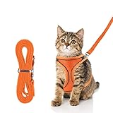 Xcsaide Katzengeschirr und Leine Set, Katzengeschirr Ausbruchsicher, Weiches und Verstellbares Katzengeschirr mit Reflektierenden Streifen für Kätzchen, Welpen (S)