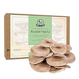 PilzWald Pilzzuchtset Austernpilz - Fertig-Set für Blumenkästen & Kübel mit ausführlicher Anleitung für Anfänger & Profis - Pilze züchten S