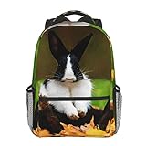 SGSKJ Schulrucksack Mädchen Jungen Kinder, Schultasche Schulrucksäcke Rucksäcke Schultaschen Backpack