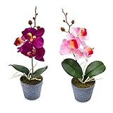 Wella Flora Künstliche Orchideen [2er Set] - Deko Orchidee im Topf - Schöne Kunstblumen wie echt - Artificial Flowers - Langlebige Kunstorchidee (Violett / Rosa)