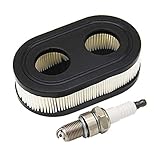 SWNKDG Luftfilter & Zündkerzen für Briggs & Stratton Motoren 550E 550EX Eco-Plus 575EX Series Ersetzt 798339 798452 593260 093000er 09P0000er Motor 4247 5432 5432K Champion N9YC | NGK BP6ES