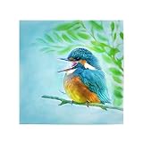 artboxONE Poster 40x40 cm Natur Eisi der Eisvogel hochwertiger Design Kunstdruck - Bild Vogel Bird b
