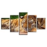 WSKKK Modulare Leinwand HD-Drucke Poster Wandkunst Bilder Schlafender Tiger Wohnkultur   R